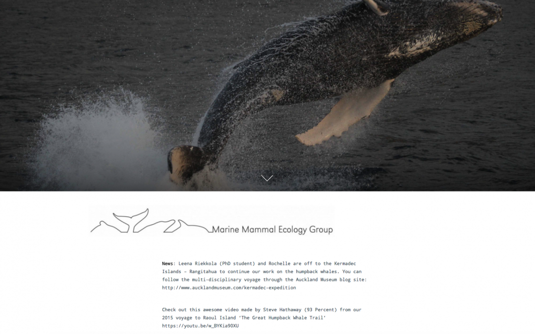Marine Mammal Ecology Group